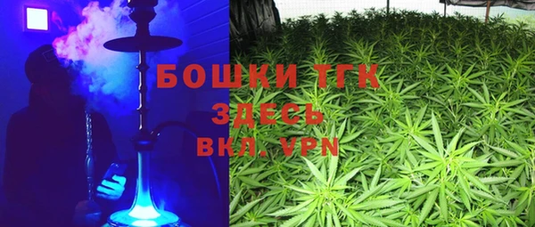 ПСИЛОЦИБИНОВЫЕ ГРИБЫ Балахна