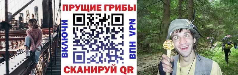 закладки  Вольск  Псилоцибиновые грибы мухоморы 